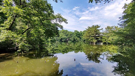 石神井公園風景