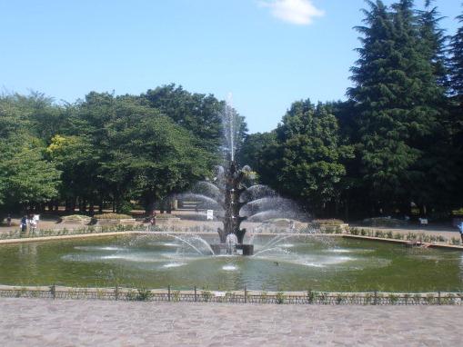 世田谷公園の噴水風景