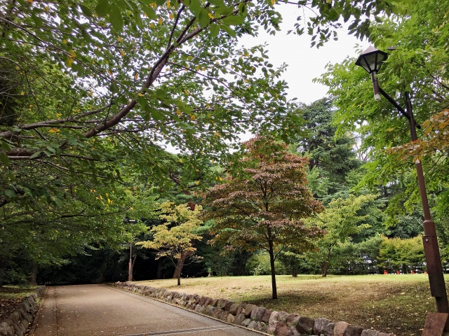 緑豊かな江古田の森公園