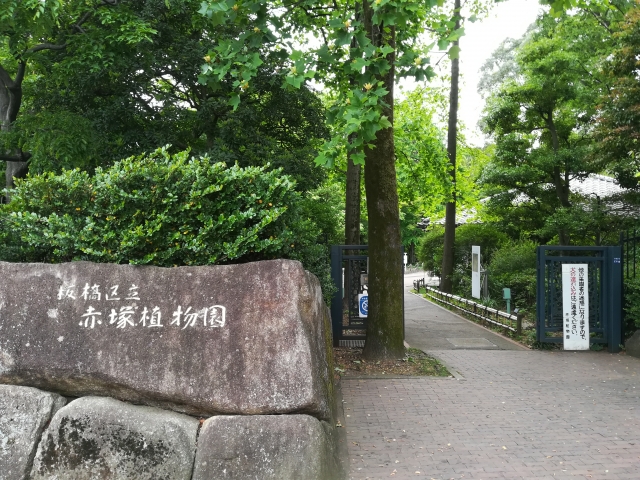 板橋区立赤塚植物園入口風景