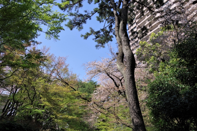 御殿山庭園の風景