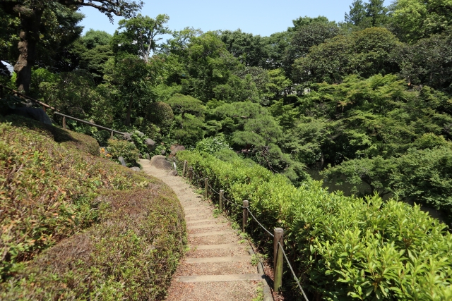 池田山公園内風景