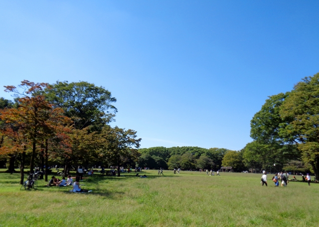 代々木公園広大な代々木公園