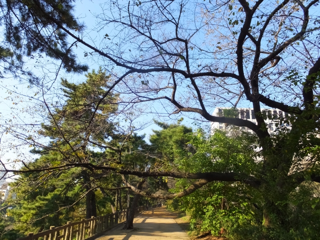 外濠公園の風景