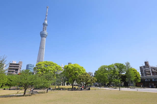 墨田公園内の風景