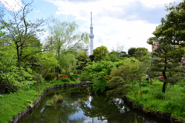 向島百花園内の風景