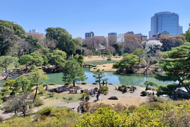 六義園内の風景