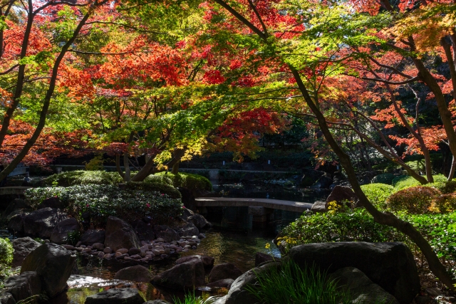 大田黒公園の紅葉 