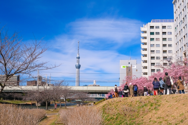 江戸川区内の風景