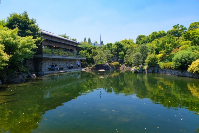 落ち着きのある目白庭園