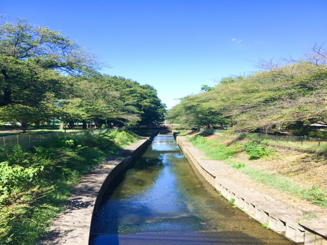 杉並区内の風景