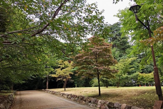 緑豊かな江古田の森公園