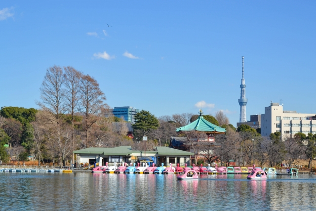 上野公園不忍池