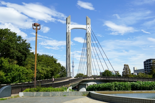木場公園内の風景
