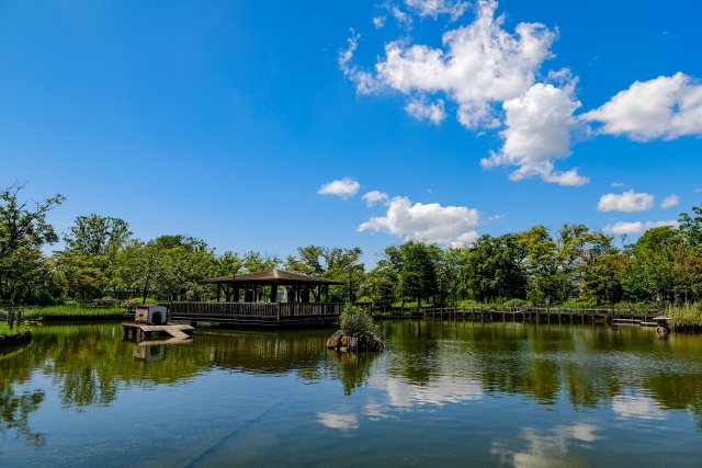 荒川自然公園内の風景