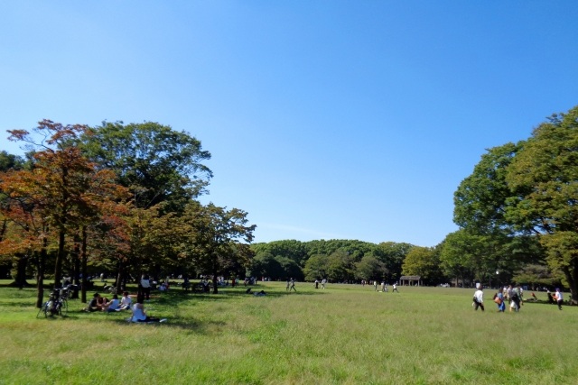 広大な代々木公園