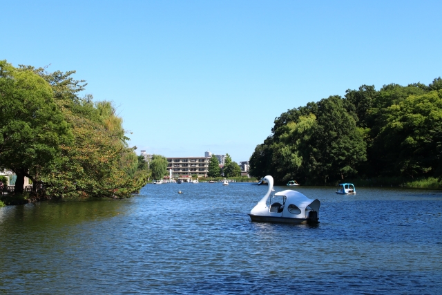 石神井公園の池とスワンボート