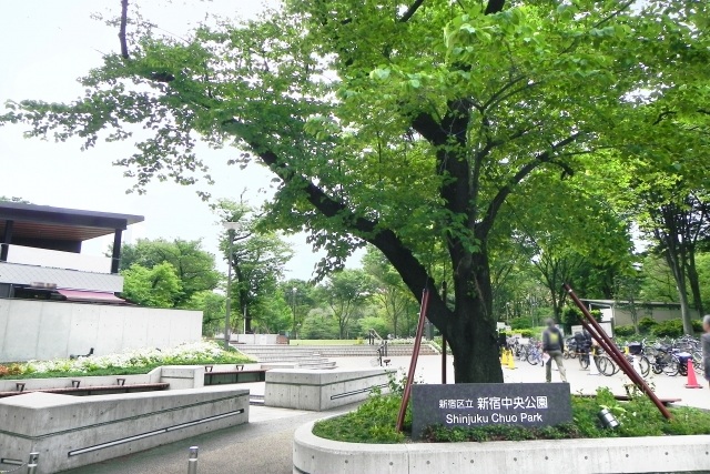 緑あふれる新宿中央公園
