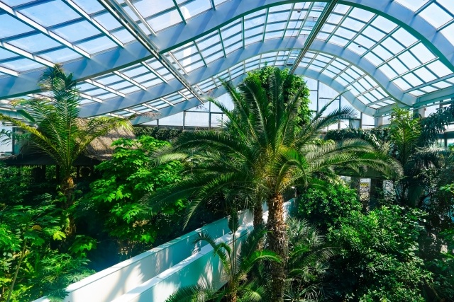 熱帯環境植物館内の風景