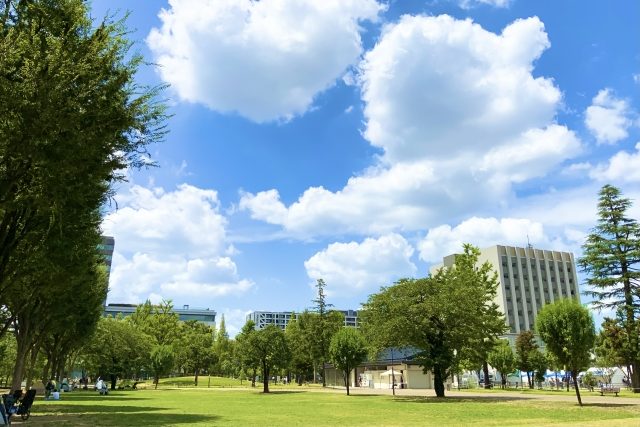 芝生の広がる中野セントラルパーク