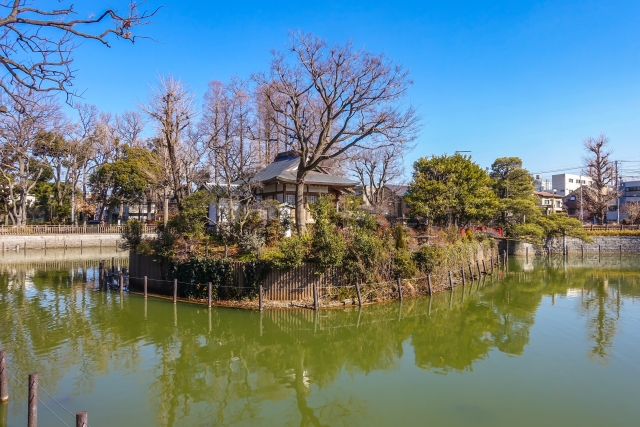 碑文谷公園の風景