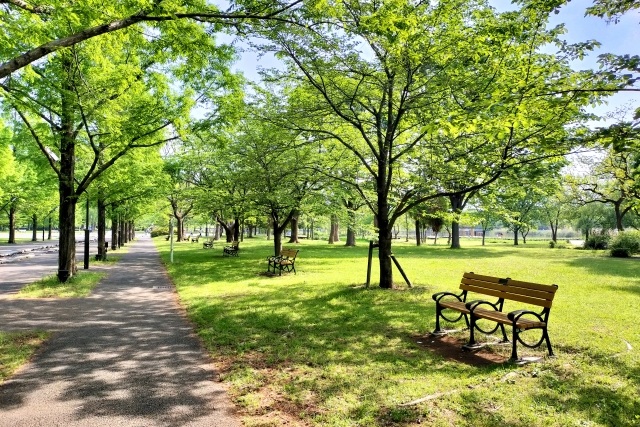 広大な舎人公園