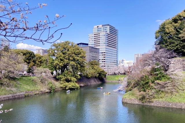 桜咲く千鳥ヶ淵