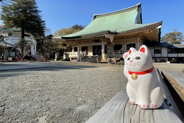 豪徳寺社殿と招き猫