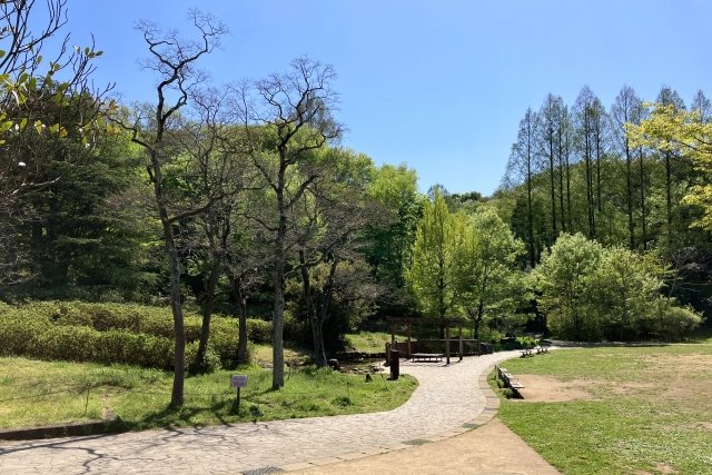 緑豊かな生田緑地