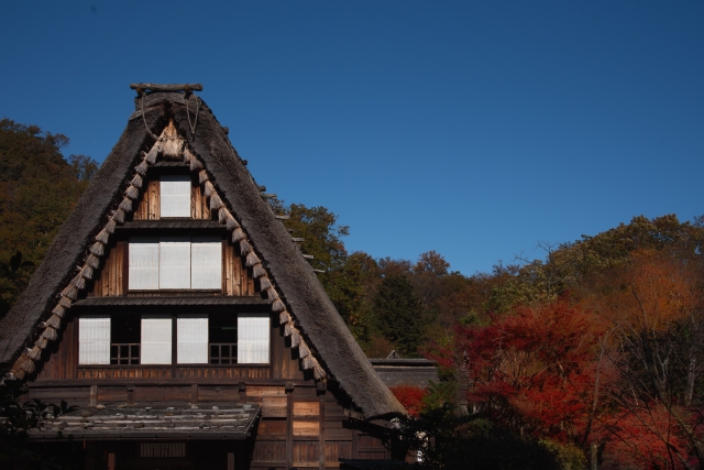 川崎市立日本民家園の古民家と紅葉