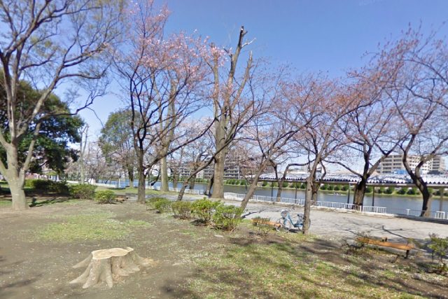 戸田公園内の風景