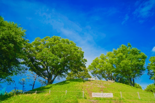 玉川野毛町公園内の風景