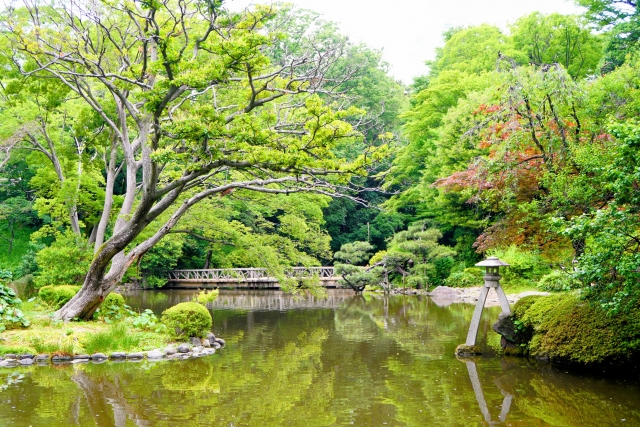 有栖川宮記念公園内の景色