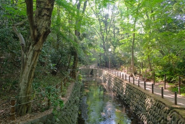 等々力渓谷公園内の風景