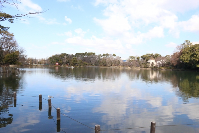 洗足池の公園内の風景