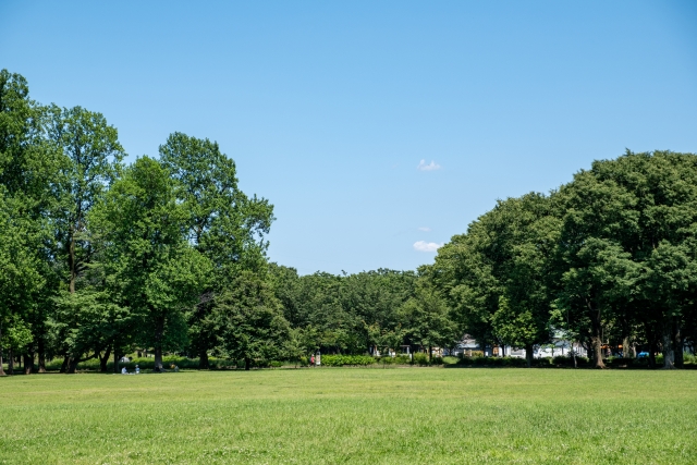 緑豊かな小金井公園