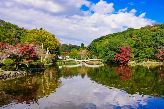 町田薬師池公園 四季彩の杜の風景