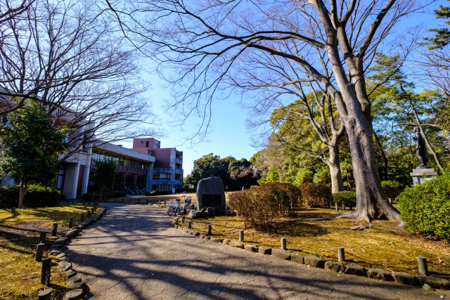 蕨市民公園の風景