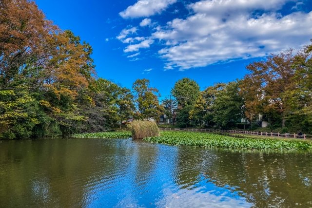 菊名池公園内の風景