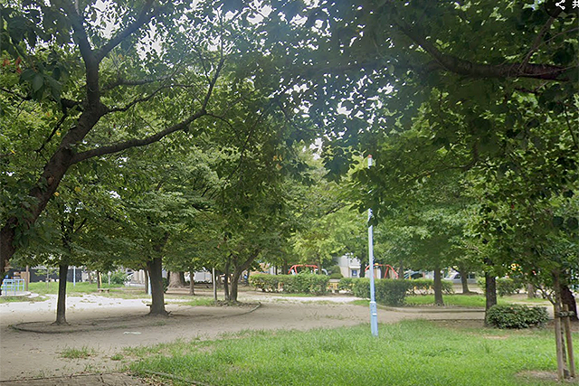 南中本公園内の風景