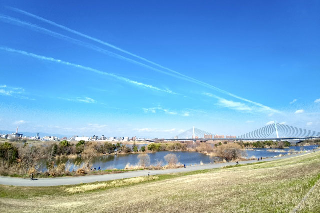 広大な淀川河川公園