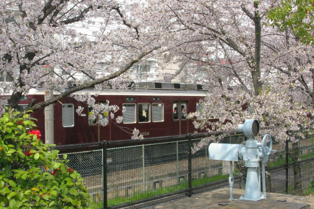 桜の咲く柴島浄水場