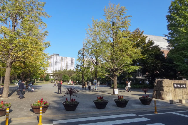 広大な浜町公園