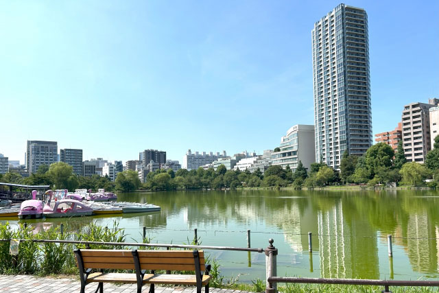 上野恩賜公園内にある不忍池の風景