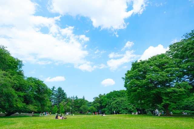 芝生広場が広がる砧公園