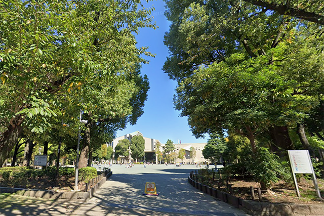 緑豊かな教育の森公園