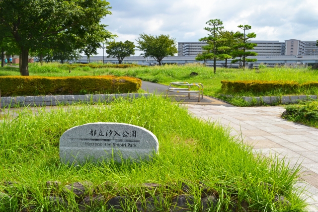 広大な都立汐入公園