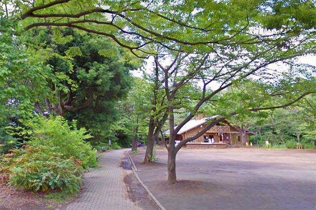 緑豊かな綱島公園の写真
