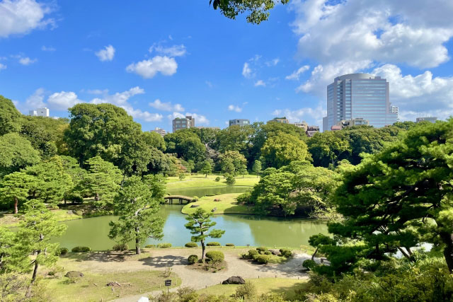 池のある六義園の風景