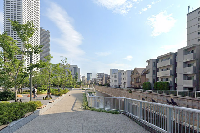 整備された神田川沿いの遊歩道